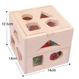 Montessori Wooden Intelligence Shape Box