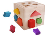 Montessori Wooden Intelligence Shape Box