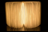 Unique Foldable LED Book Lamp - USB Rechargeable