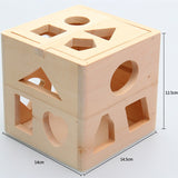 Montessori Wooden Intelligence Shape Box