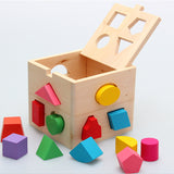 Montessori Wooden Intelligence Shape Box