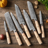 Damascus Pattern Steel Kitchen Knife Set