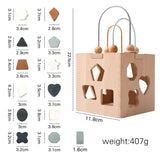 Montessori Wooden Geometric Shape Box